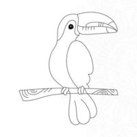 Vogel Malvorlagen für Kinder vektor