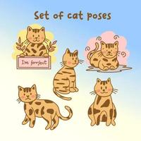 uppsättning av katt poser vektor
