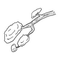 hängende Stange Baum doodle handgezeichnete Vektor-Illustration für Kinder Malbuch vektor