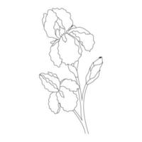 kontur iris blommor isolerad på vit bakgrund vektor