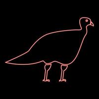 neon turkeycock röd färg vektor illustration platt stil bild