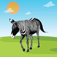 zebra på planen vektor