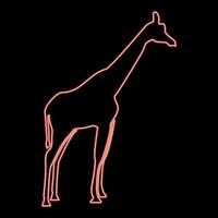 Neon-Giraffe rote Farbvektorillustration flaches Stilbild vektor