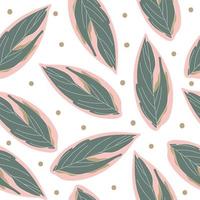 ctenanthe oppenheimiana vacker grön - rosa blad seamless mönster, vektorillustration. vektor