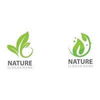 Blatt-Natur-Logo-Design-Vorlagenvektor vektor