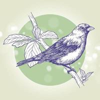 fågel uppflugen på en gren, bläck ritning, handritad illustration, vektor