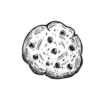 cookie set handritad illustration. vektor. vektor