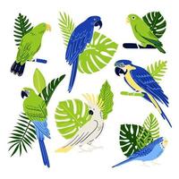 tropische papageien eingestellt. sammlung von vögeln ara, kakadu, wellensittich usw. vektor exotische blätter, monster und farn. Cartoon-Illustration