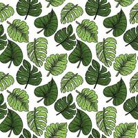 ett sömlöst mönster som visar ett tropiskt monsterblad. blad med doodles. handritade doodle-stil element, ljusa gröna. tropikerna. monster. exotiska löv. isolerade vektor illustration