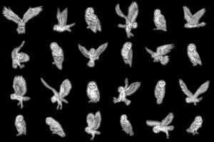 set mega samling bunt uggla fågel djur handritad för tatuering och t-shirt konst illustration vektor