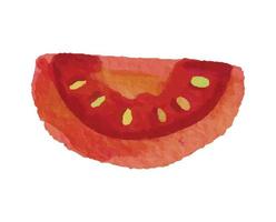 tomatenillustration mit aquarellart vektor