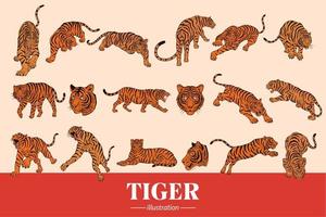 set mega samling bunt tiger odjur ansikte vilda poser isolerade tecknad clipart illustration vektor