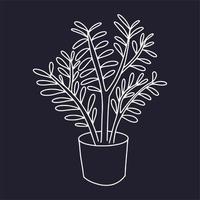 Vektorskizze einer Zimmerpflanze. von Hand zeichnen vektor
