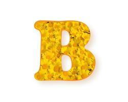Buchstabe b-Logo. gelber Frühlingsblumen-Großbuchstabe b, Gestaltungselementalphabet, Gänseblümchenbeschaffenheit, Vektorillustration lokalisiert auf weißem Hintergrund vektor