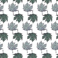 Blätter Ahorn kanadisch graviert nahtloses Muster. vintage hintergrund botanisch mit laub im handgezeichneten stil. vektor