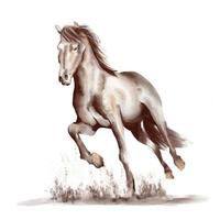 laufendes Pferd Schwarz-Weiß-Aquarell-Stil auf weißem Hintergrund