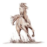 kör häst svart och vit akvarell stil på vit bakgrund vektor