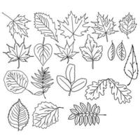 Satz Blätter von Bäumen verschiedener Arten, botanisches Herbarium von Holzpflanzen, Vektorfarbseite