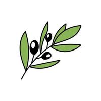 Olivenzweig. Vektor handgezeichnete Olive, isoliert auf weißem Hintergrund. ein Symbol des Friedens und des Sieges. immergrüner Baum. Doodle-Stil. konturierter Blumenrahmen