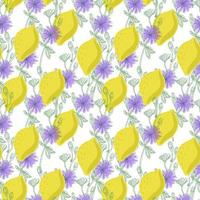 ein nahtloses muster aus zitronen und zichorienblüten, gezeichnete gekritzelelemente im skizzenstil. leuchtend violette Blumen und Zitronenfrüchte auf weißem Hintergrund. Chicoree vektor