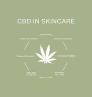 infographics cbd-egenskaper i hudvårdsbehandling. cannabis vid behandling av hudproblem. vektor illustration.