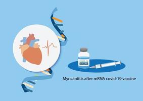 myokarditis nach mrna covid-19 impfung vektor