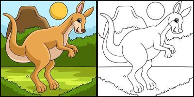 känguru djur målarbok färgad illustration vektor