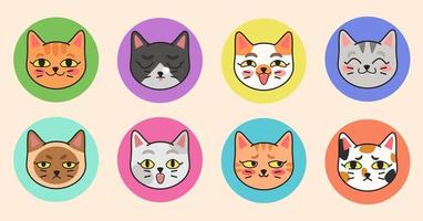 söt vektorillustration av olika kattraser. en uppsättning söta kattporträtt med olika känslor i en tecknad platt stil.