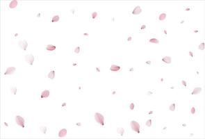 Sakura-Blütenblätter. kirschblütenhintergrund vektor