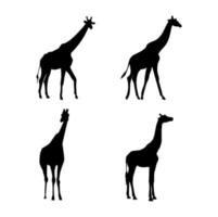 uppsättning svarta silhuetter av giraffer vektor