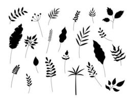 Blätter Silhouetten isoliert. Vektor-Set von dekorativen Pflanzenelementen auf weißem Hintergrund. einfache handgezeichnete schwarze objekte für florale designs vektor