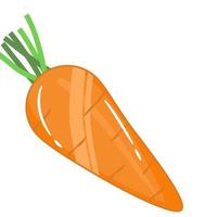 färsk grönsak orange morot vektor