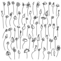 Set aus einfachen Doodle-Blumen, Fanasia-Pflanzen mit blühenden Blütenblättern und Knospen in verschiedenen Formen vektor