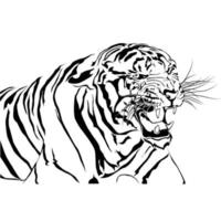 tigrar blottade isolerade vit bakgrund. vektor