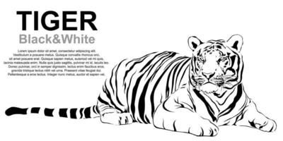 Tiger sitzend, schwarz und weiß, Vektor