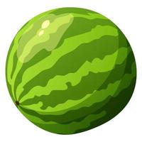 saftige Wassermelone. Sommer hellgrüne Frucht. vektor