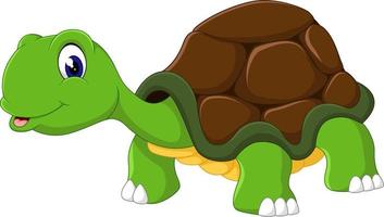 süße Cartoon-Schildkröte vektor