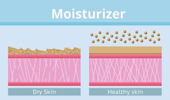 Feuchtigkeitscreme, trockene Haut und gesunde Haut, Vektordesign. vektor
