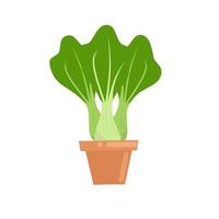 Vektorgrafik einer Senfpflanze in einem Topf. Cartoon-Senfgrün bereit zur Ernte. mit weißem Hintergrund. ideal für Wohnkulturposter, Artikelbilder und Bilder von Lebensmittelmarken. vektor