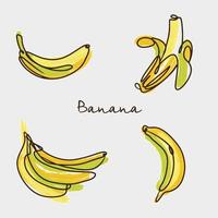 satz mehrfarbige bananen vektor