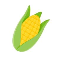 Grüne Schalen von gelbem Mais werden als Lebensmittelzutat verwendet. vektor