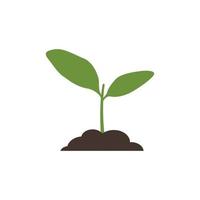 Pflanzen-Logo-Icon-Design-Vektor vektor