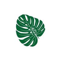 Monstera-Blatt-Logo-Icon-Design-Vorlagenvektor vektor