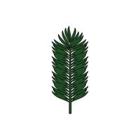 Palmblatt-Logo-Icon-Design-Vorlagenvektor vektor