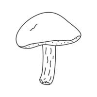 Bemooster Pilz im Doodle-Stil. isolierter schwarzer Umriss. vektor