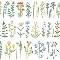 vektor sömlöst mönster med handritade vilda växter, örter och blommor, färgglad botanisk illustration,