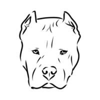 Pitbull-Terrier-Vektorskizze