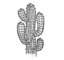kaktus handritad illustration, vektor. vektor