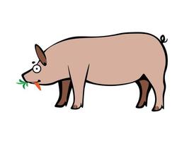 lustiger Cartoon nachlässiges domestiziertes Schwein, das frische Karotten isst vektor