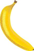 frukt banan naturlig pastell vektor